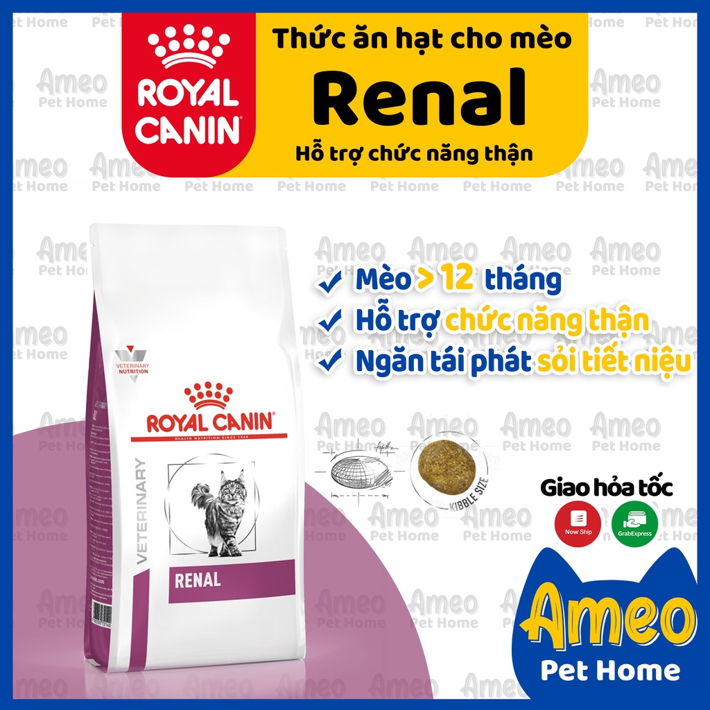 [New Model] Royal Canin Renal Seeds 2kg For Kidney Cats Royal Canin Renal Kidney Disease Cat