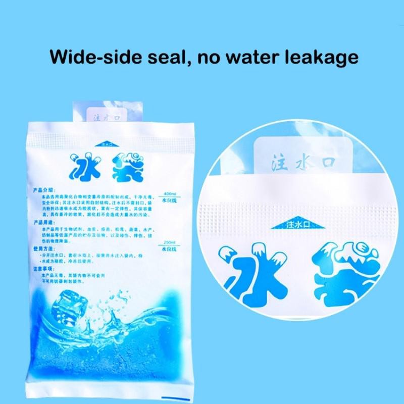 [READY STOCK] Reusable PE Water Injection Ice Cooler Pack for Food ...