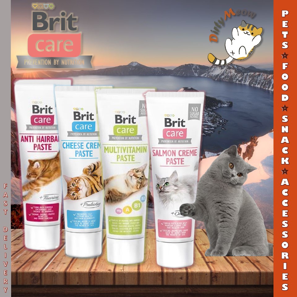 Brit Care Cat Functional Paste / Cat Supplements 100G ( Salmon Creme