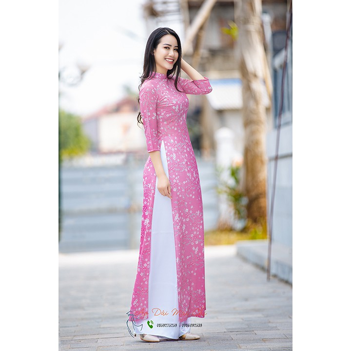 Portrait Vietnamese Girl Traditional Dress Ao Stock Photo 795432502