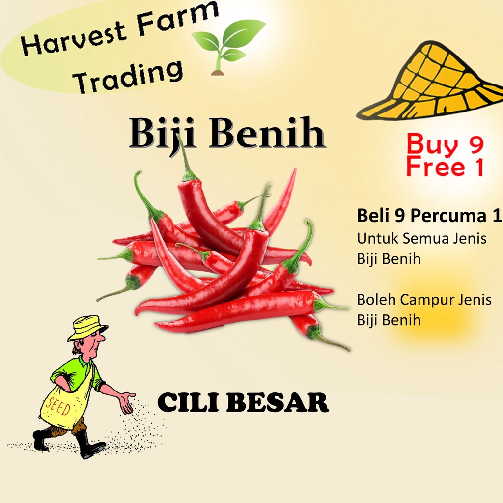 Biji Benih Cili Besar 25pcs Vegetable Seeds Biji Benih Cili Seeds