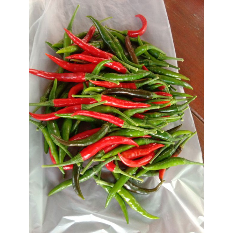 Cili Padi 40 Biji Benihseeds Shopee Malaysia