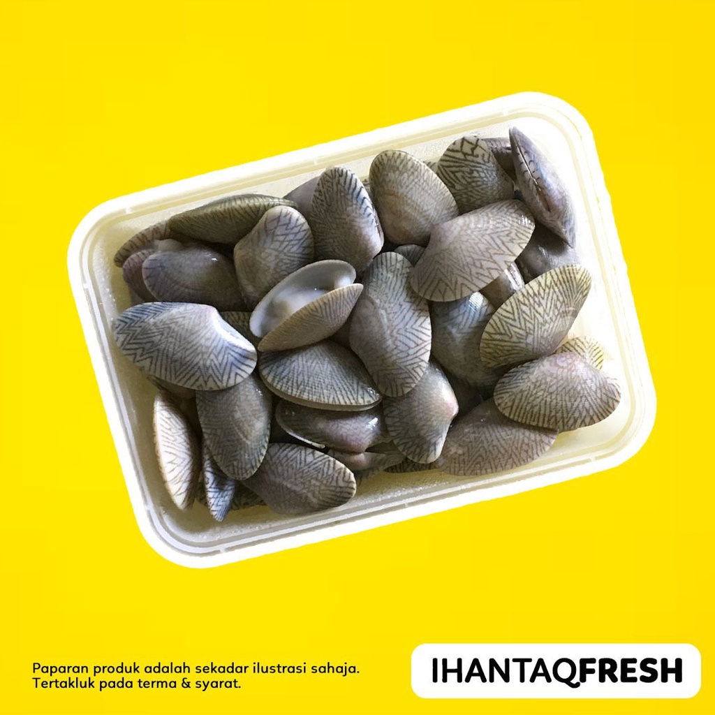 Siput Retak Ribu 500g (Siap Siang, Bersih, Pek) | Shopee Malaysia