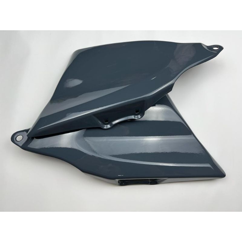 Motorcycle Genuine Dry Carbon Fiber Front Fairing Tank Cover Guard Cover Panel Cowling for BMW S1000RR 2023