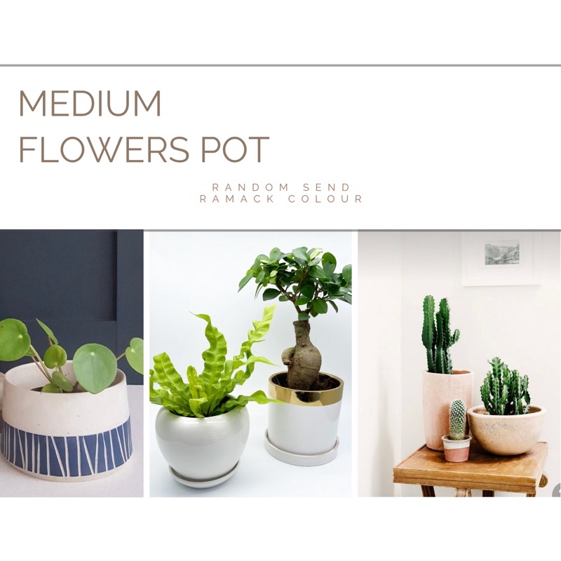 🌱Medium pot🌱ceramic flower pot 🌱🌱READY STOCK🚚🚚 | Shopee Malaysia
