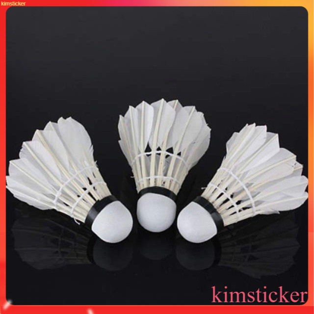 Shuttlecock Badminton Ball Badminton Shuttlecocks Bola Badminton ...