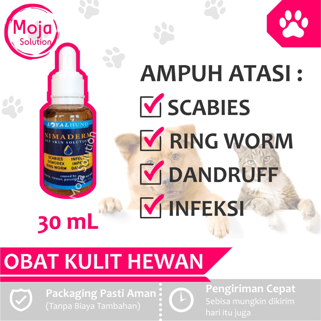 Photo inspiration: Visual Reference: Skin Medicine Cat Dog Scabies Fungus Ringworm Mite Demodex Itching