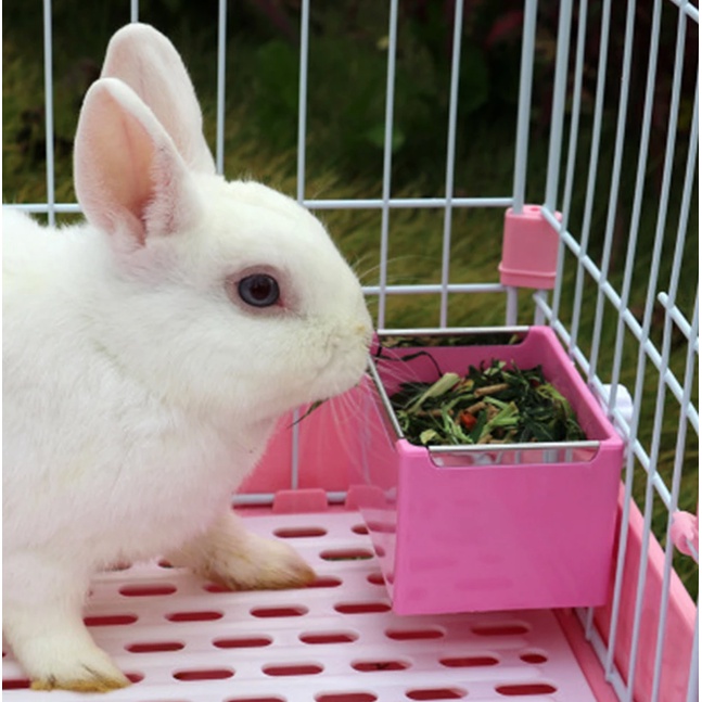 XXW Long Lasting Rabbit Food Bowl Hanging Cage bowl Bekas Makanan