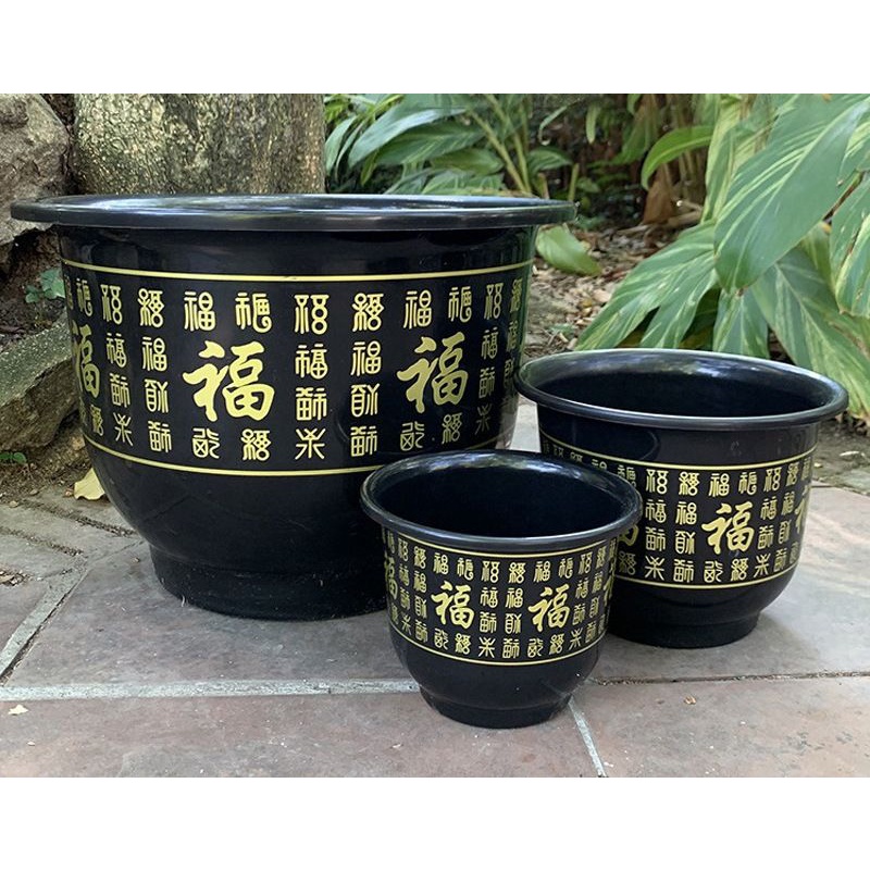 Plant pot with design/福字花盆#gatdening#pasu bunga#feng shui风水 | Shopee ...