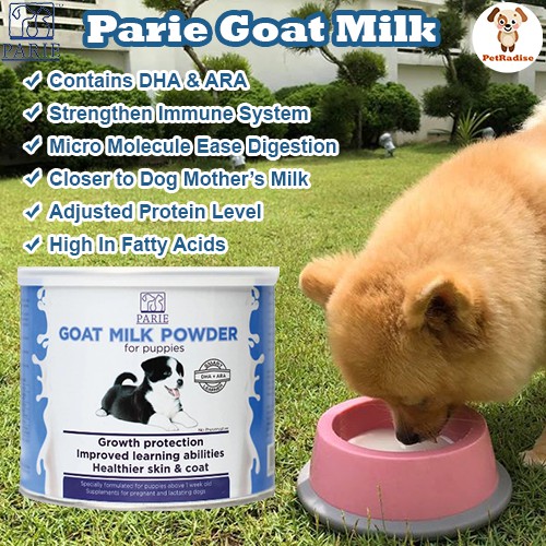 Goats milk 2024 for pregnant dogs