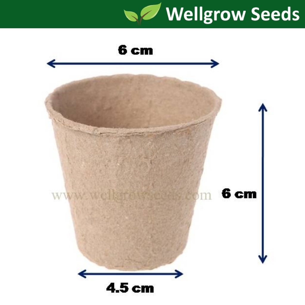 Biodegradeable Pulp Pots (20pcs) | Shopee Malaysia