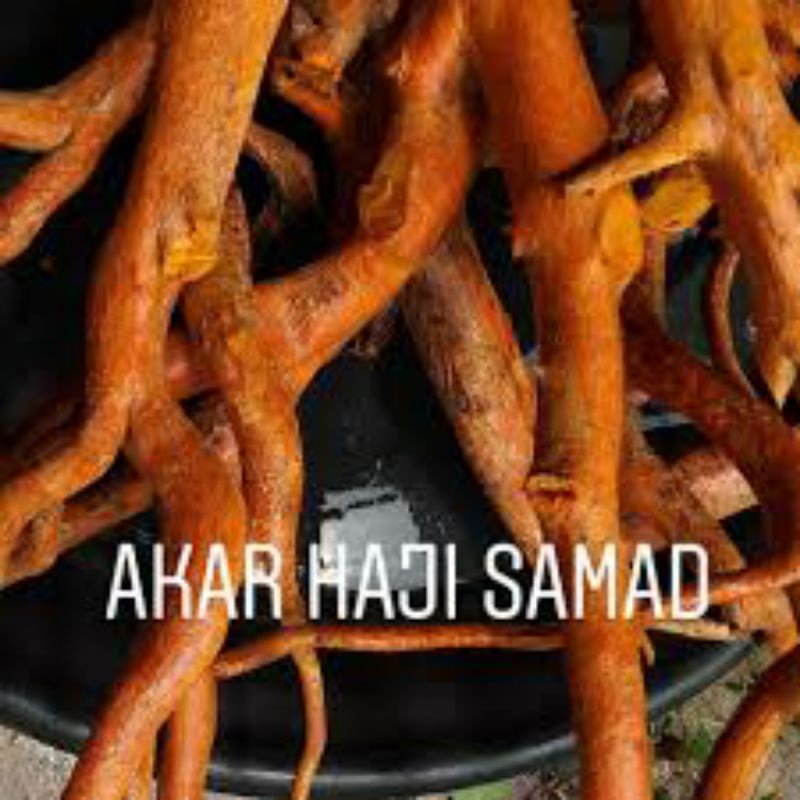 Tongkat ali hitam, tongkat ali putih, akar haji samad, akar sarsi ...