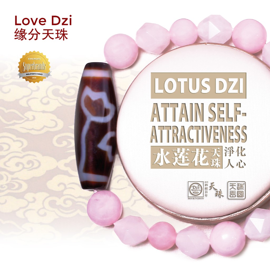 Dzi Kingdom Lotus Dzi 【Attain Self Attractiveness】水莲花天珠