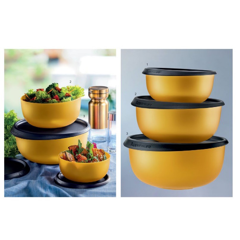 55th Tupperware Anniversary Set | Shopee Malaysia