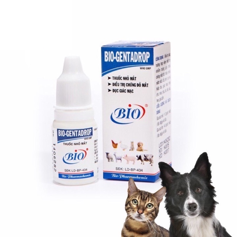 Biogentadrop Eye Drops For Dogs And Cats 10ml Shopee Malaysia