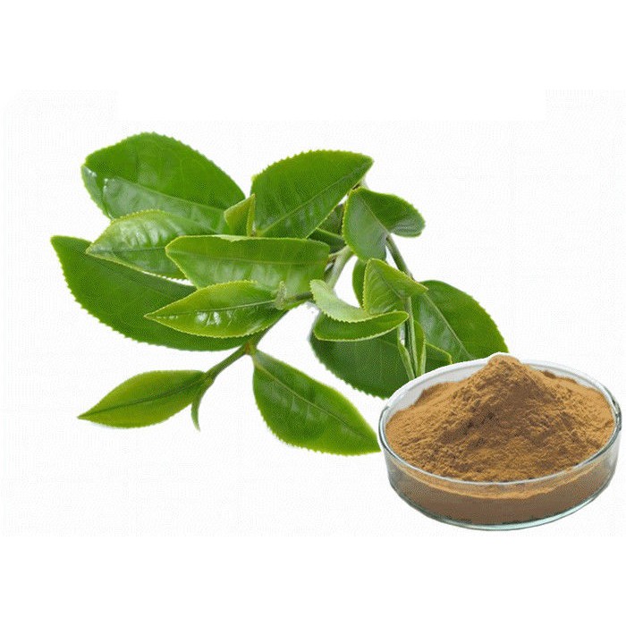 Green Tea Extract Powder 1kg/bag | Shopee Malaysia
