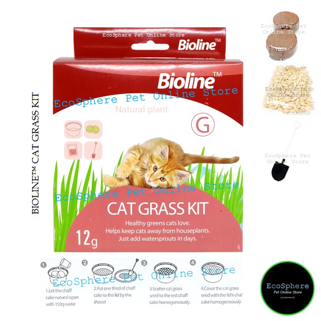 Cat grass hotsell kit bioline