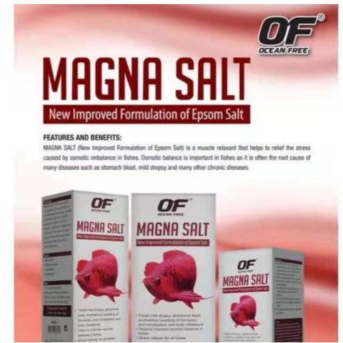 Of MAGNA SALT 600G/1200G | Shopee Malaysia