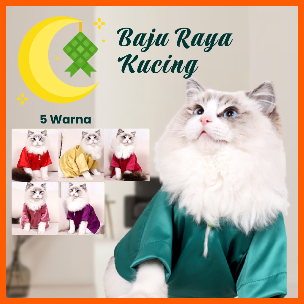 Baju Raya Kucing Baju Kurung Baju Melayu Raya Aidilfitri Cat Clothes ...