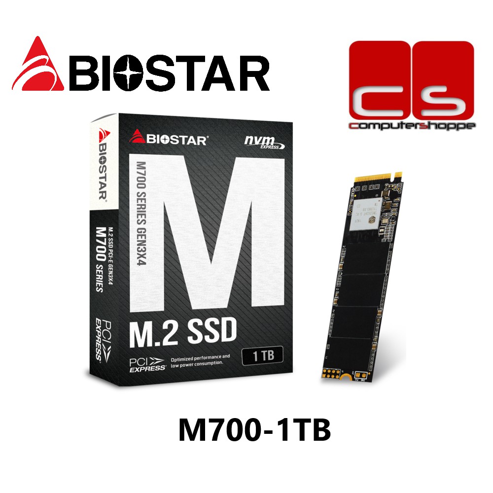 BIOSTAR M.2 SSD M700 M700-1TB - 内蔵型SSD