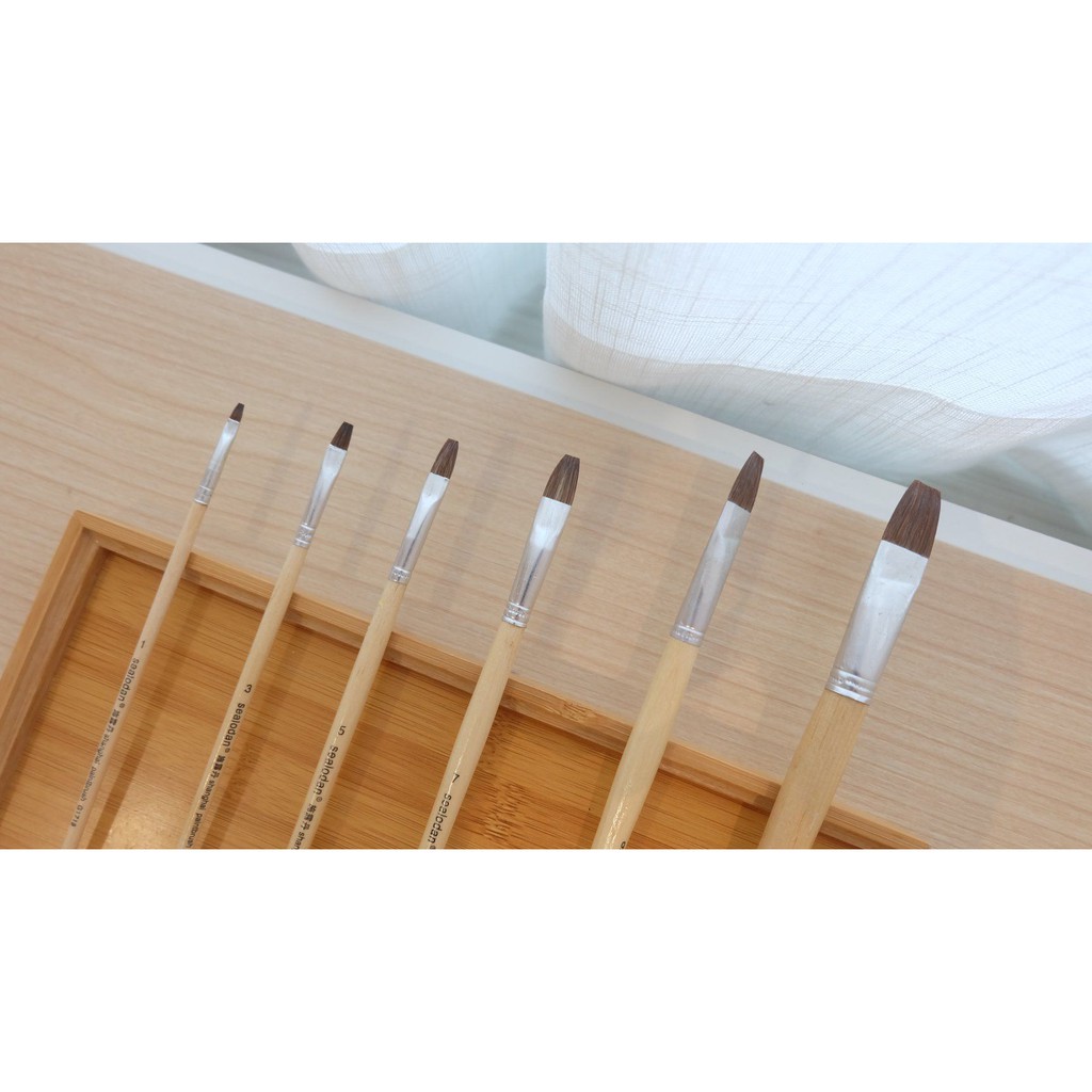 S.d paint brush for oil paint, water colour, poster colour and acrylic