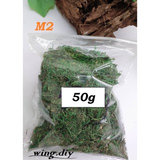 50G/100G ARTIFICIAL MOSS FOR PLANTERS FLOWER GARDEN LAWN CRAFTS WEDDING  DECORATION / FAKE MOSS FOR POTTED PLANTS FOREST