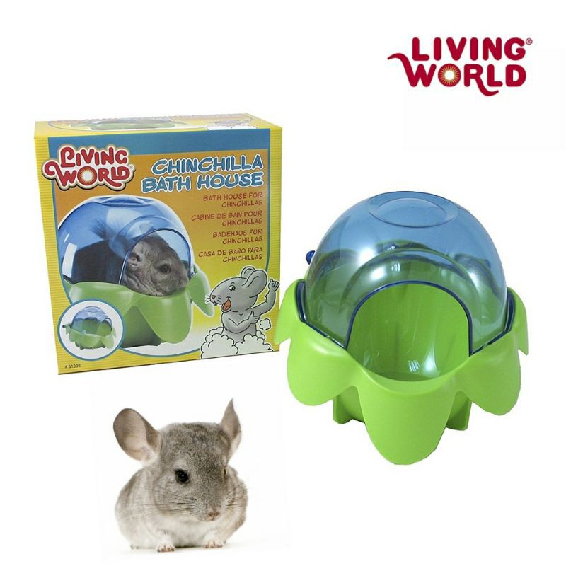 Chinchilla world hot sale