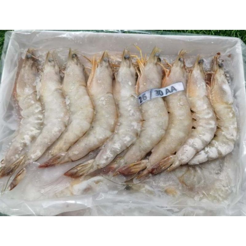 Aa Sea White Prawn 1pkt 700g Aa高级明虾 26 30 Shopee Malaysia