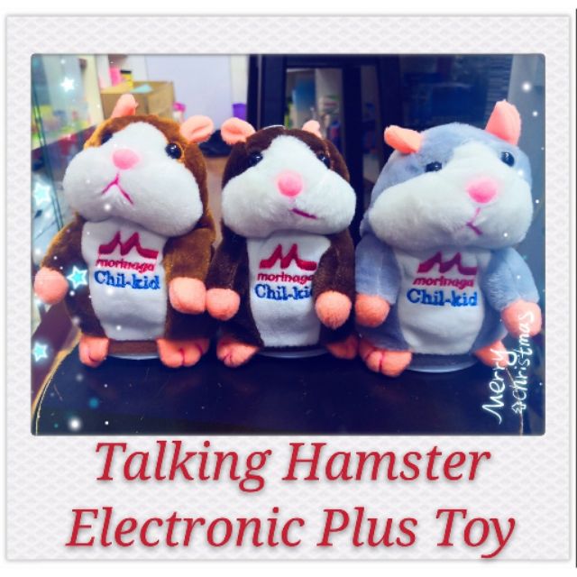 Talking cheap hamster shopee