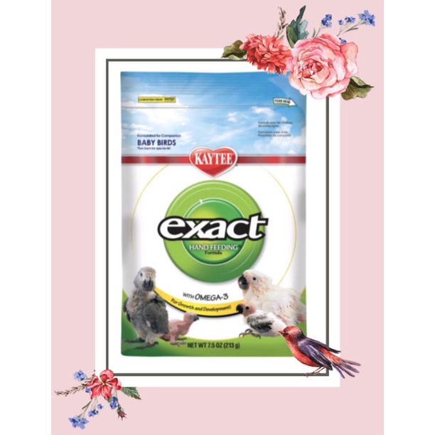 Kaytee Exact Hand Feeding Formula With DHA Omega-3 Baby Bird Food ...