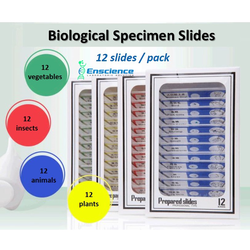 Microscope Biological Speciment Slides for Kids (Animal Plant ...