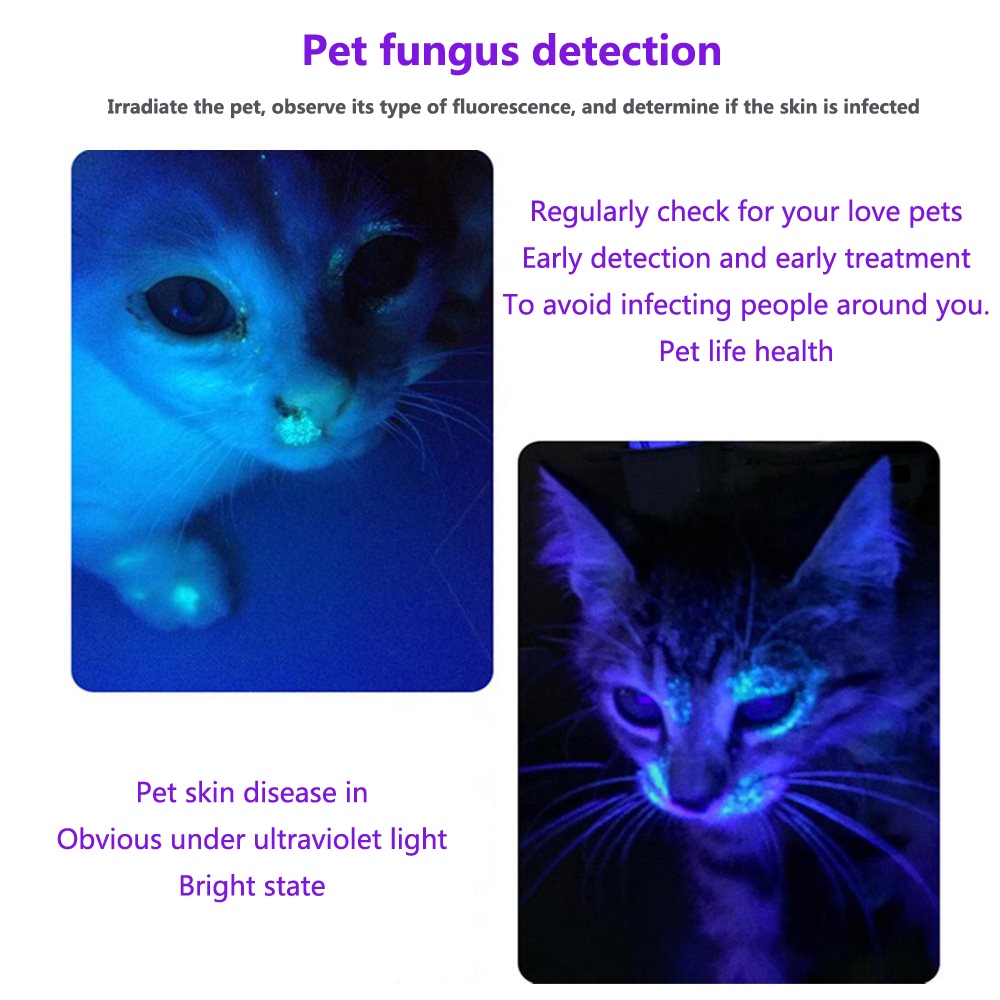 AR happy online UV Flashlight, UV Light Flashlight Black Light, Zoomable 365nm U