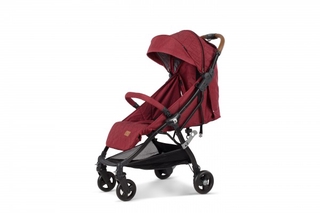 Bodi smart sale stroller