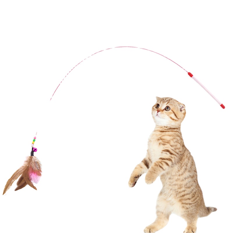 Pet wire feather bells funny cat rod Cat wire small fish funny cat