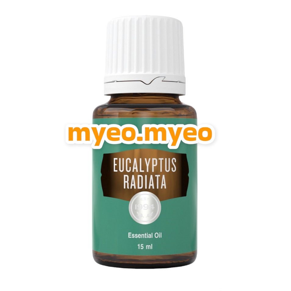 Young Living Eucalyptus Radiata Essential oil 15ml Shopee Malaysia