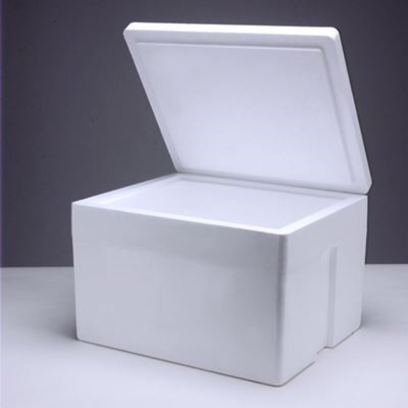 styrofoam ice box(untuk yang nak pos ketupat beku sahaja) Shopee Malaysia