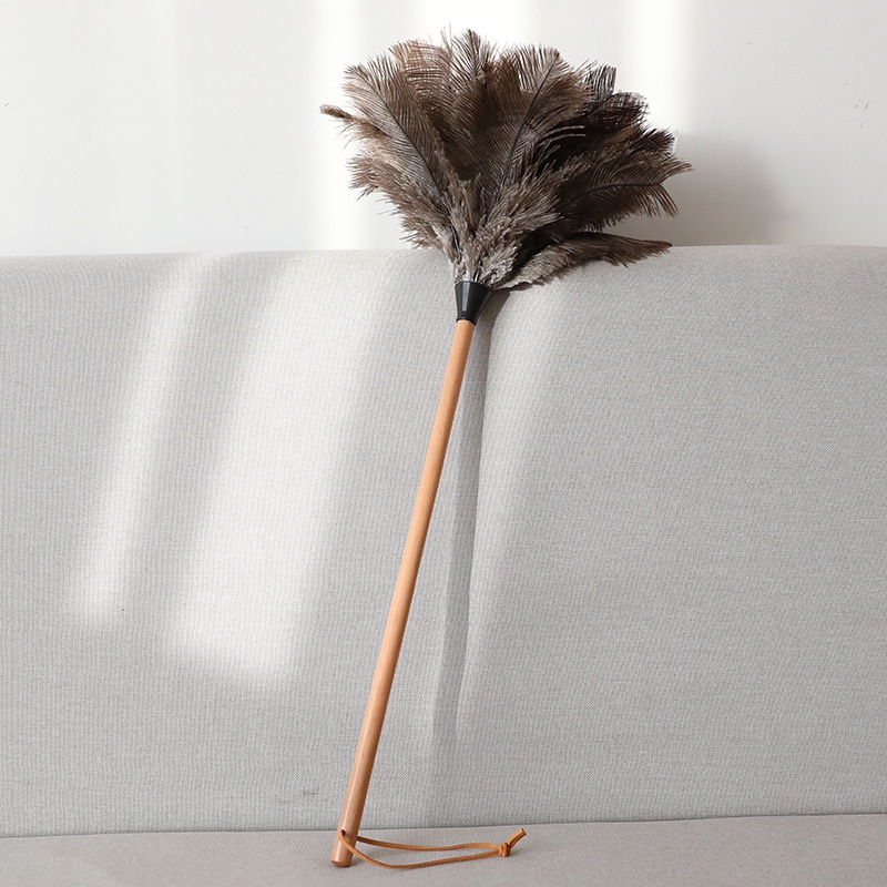 DreamerHouse Long Rod Beech Wood Handle Ostrich Hair Duster Household ...