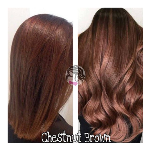 Chestnut Brown Hair Color | Shopee Malaysia
