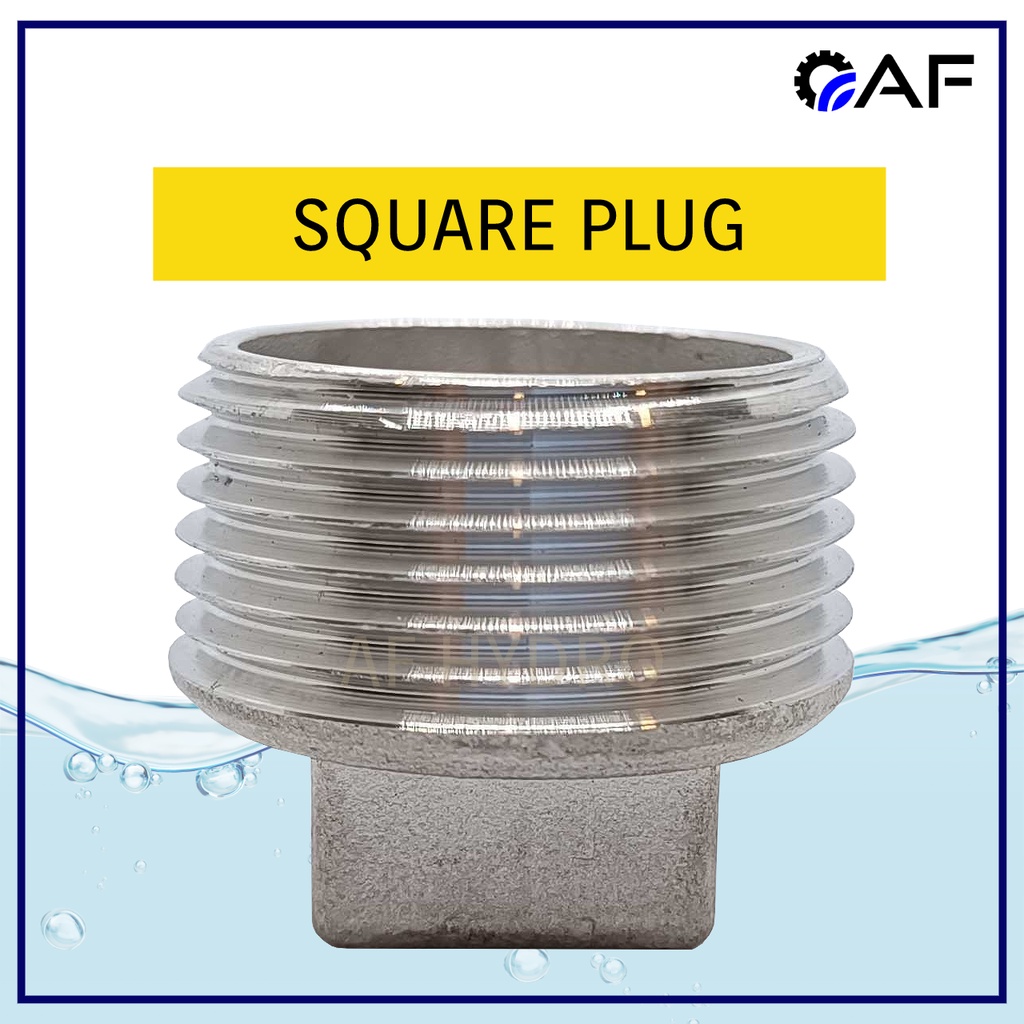 Stainless Steel SS316 Square Plug Fitting 1/8” to 4” BSPT Male Pipe End ...