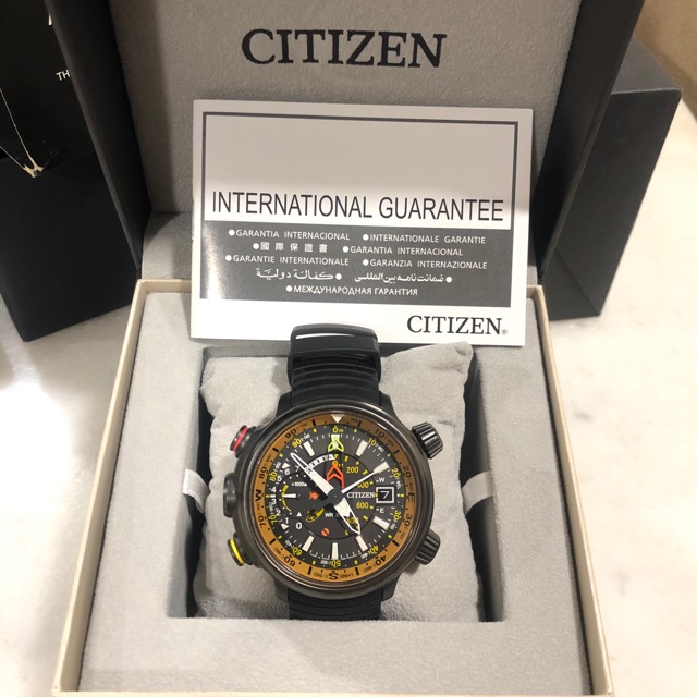 Citizen altichron clearance titanium