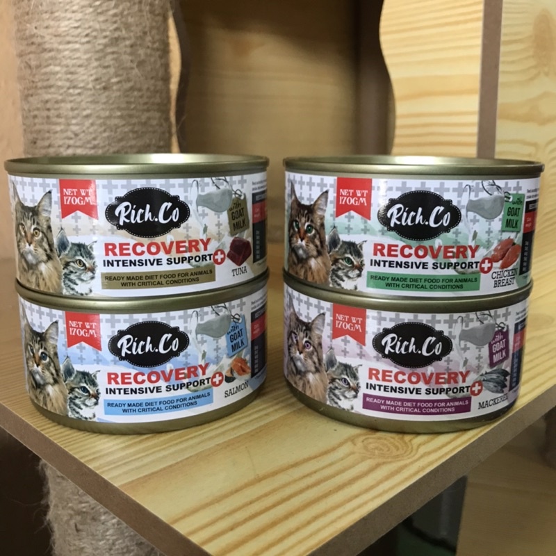 Rich Co Recovery Intensive Support / Makanan kucing sakit 170g | Shopee ...