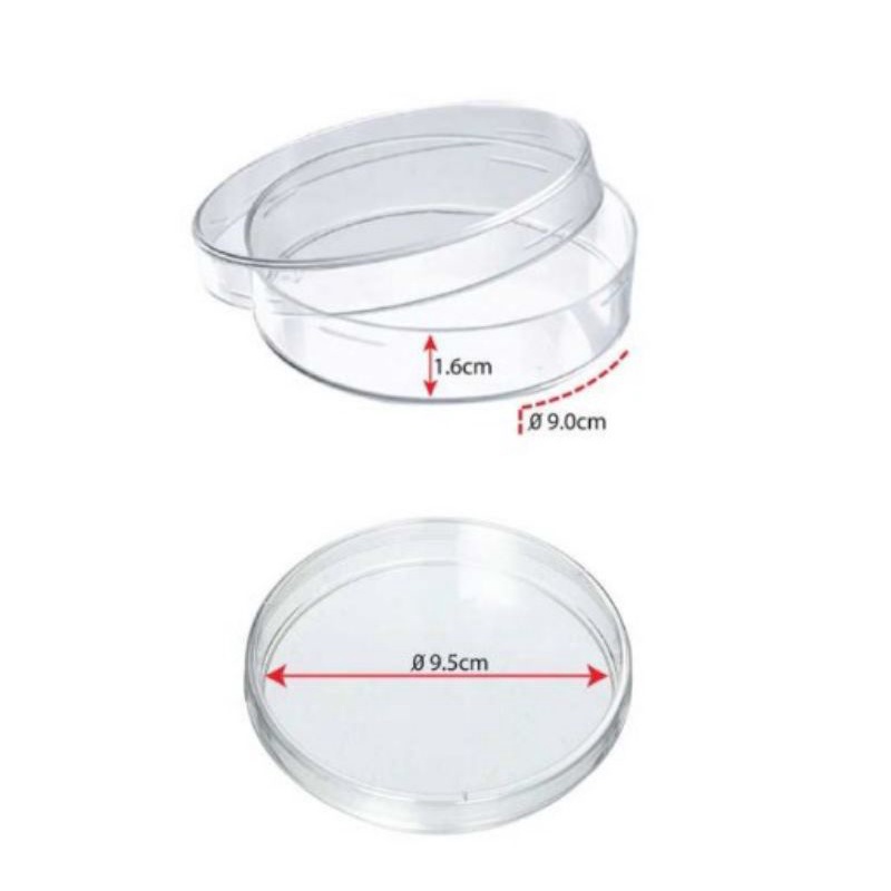 Petri Dish - Science & Lab Tools for School/ Personal Alat Makmal ...
