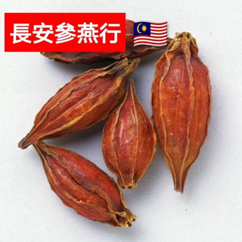 山梔子/黃果子 (傳統給小孩黃沖涼)buah kuning, traditional guna untuk babi kuning mandi ...