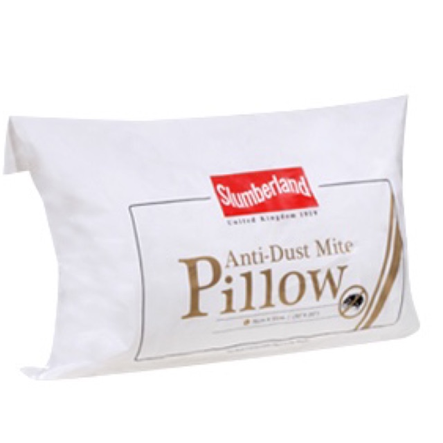 Anti dust mite clearance pillow