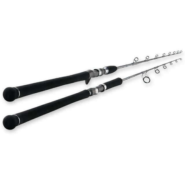 Tenryu Jig Zam Version III Jigging Rod MADE IN JAPAN | Shopee Malaysia