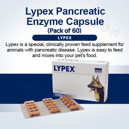 Lypex capsules for dogs best sale