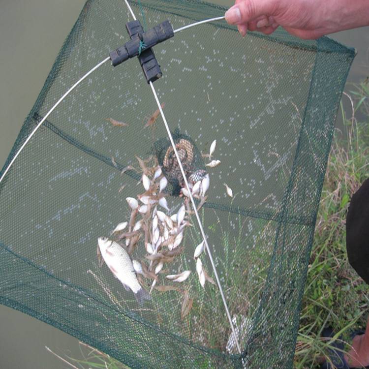 Foldable Fishing Net Small Fish Shrimp Minnow Crab Baits Cast Mesh