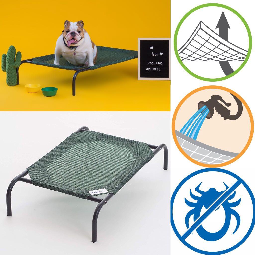 The Original Coolaroo Elevated Pet Bed Small (90cm x 55cm x 20cm
