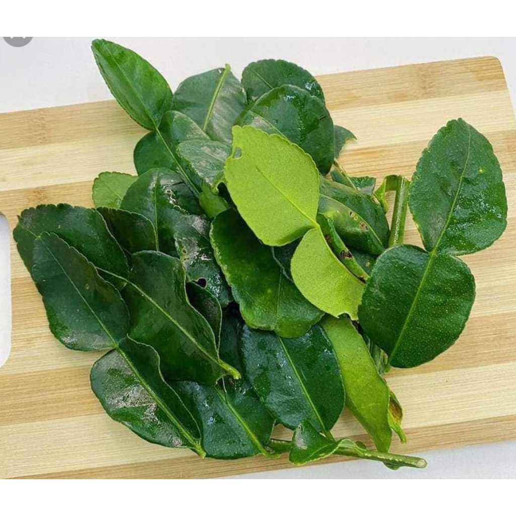 Daun Limau Purut (100g) | Shopee Malaysia