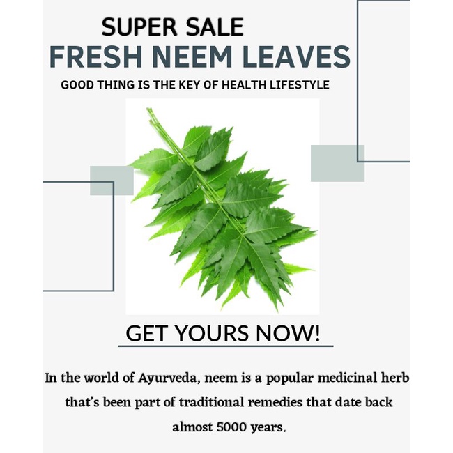 FRESH NEEM LEAVES/DAUM POKOK SEMAMBU/VEPPILAI Shopee Malaysia